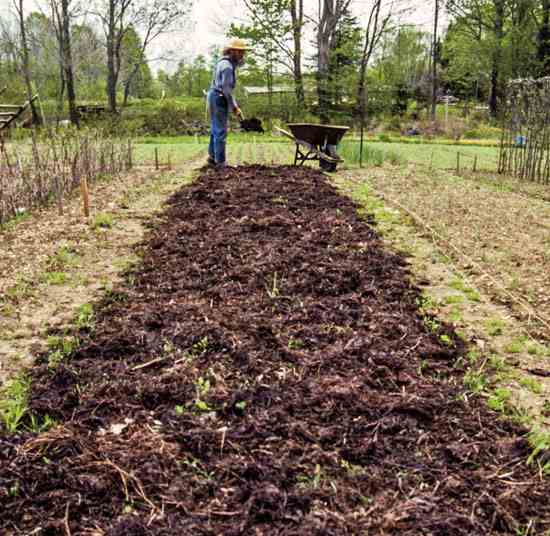 Three loads of compost per bed is ample even for the heavy feeders. That's about 900 pounds per 180 square feet.